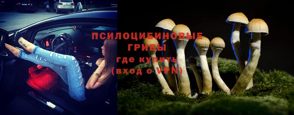 герыч Пестово