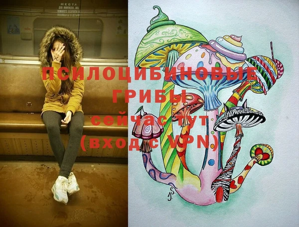 кокс Алексин