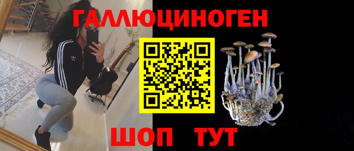 Псилоцибиновые грибы Cubensis Джанкой